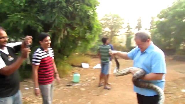 Indian Python attack, during rescue and transfer to natural habitat смотреть онлайн
