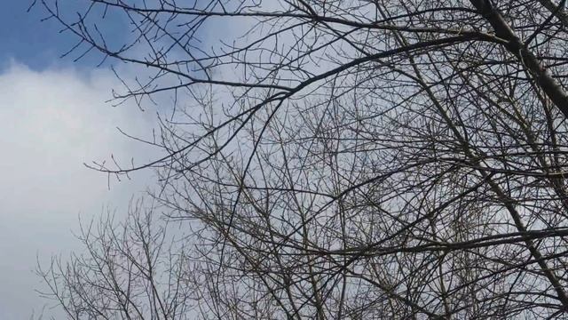 14 апреля праздник День Святой Марии. Важное правило для всех женщин. Народные приметы и традиции смотреть онлайн