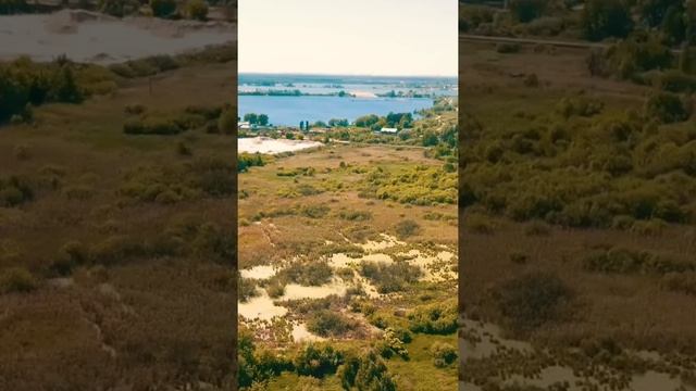 Болота и озера на которые сейчас свозят грязный снег :( #купавна #подмосковье #экология #природа смотреть онлайн