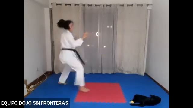 Deporte: Karate; Modalidad: Kumite; Clase 46 смотреть онлайн