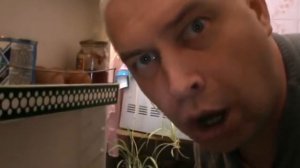 А Я НЕ ПОНЯЛ ЧТО ВЫ ДЕЛАЕТЕ В МОЕМ ХОЛОДИЛЬНИКЕ- Геннадий Горин