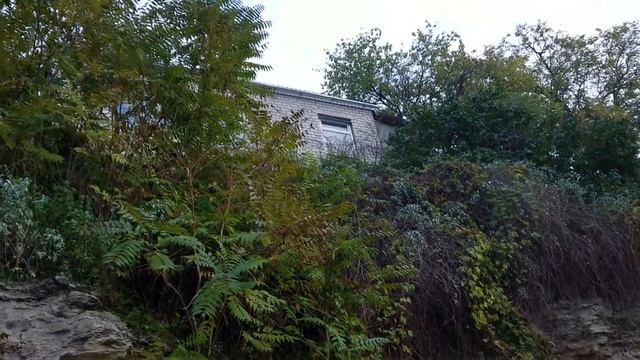 Ракетная роща река смотреть онлайн