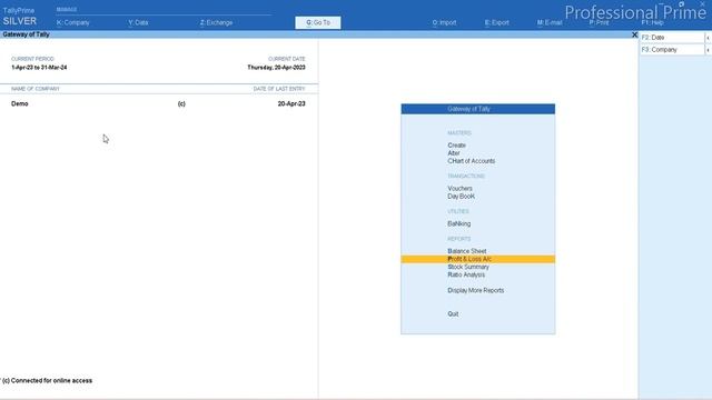 Tally prime 3.0.1 use in mobile | how to use Tally Data in mobile | @professionalprime смотреть онлайн