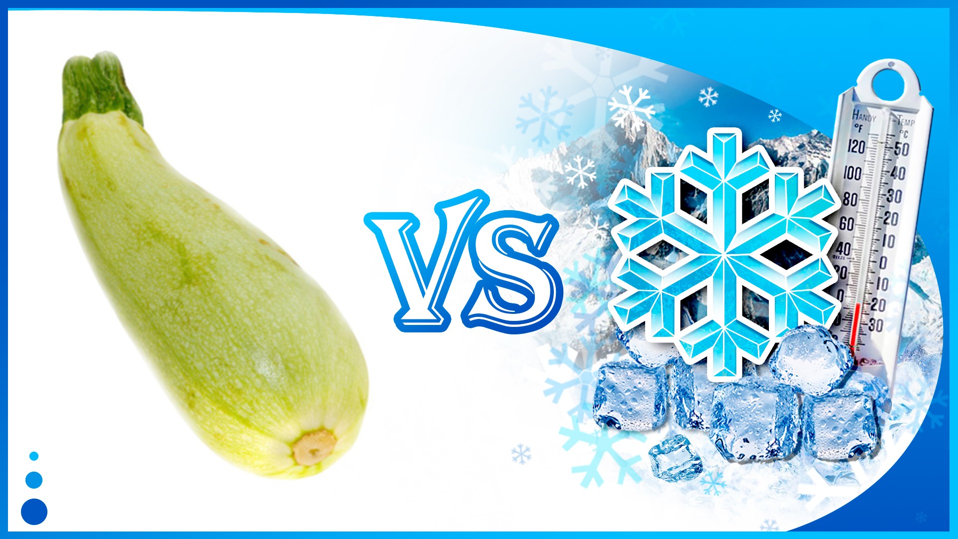 Кабачки можно заморозить | Как заморозить кабачки | Эксперимент: кабачек против заморозки