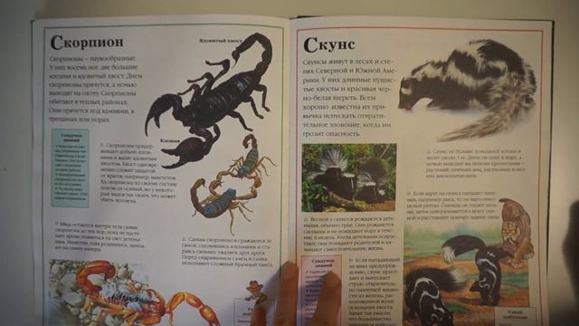 Книга о животных смотреть онлайн