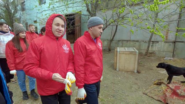 «ЗооПрорыв» в Волжском приюте УГОЛËК