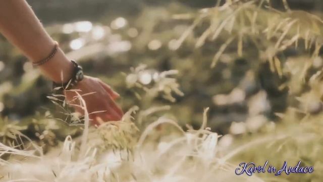 Влюбитесь в жизнь! Раскройте секреты вечной молодости. Душевные истории с Каролин смотреть онлайн