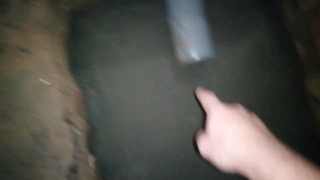 Кормление африканского клариевого сома креветкой и тюлькой смотреть онлайн