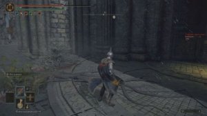 ELDEN RING Гурранк жрец-зверь.