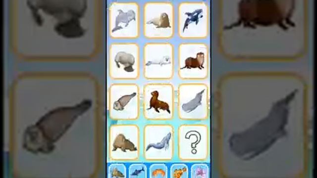 Морские обитатели / учим морских животных / для детей