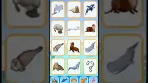 Морские обитатели / учим морских животных / для детей