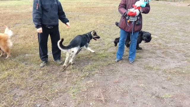 Олина, площадка, играем. 8 месяцев. смотреть онлайн