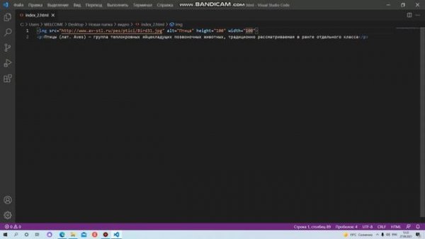 Создание HTML сайта-Урок№16 Размещение изображений в коде.