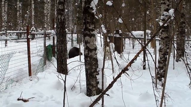 SAM 7413 смотреть онлайн