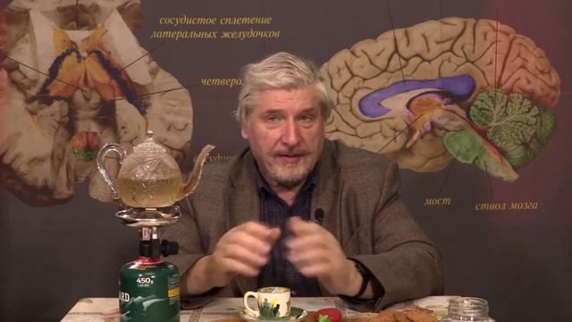 С. Савельев. Природа стресса