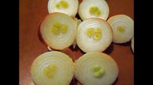 БИЗНЕС ИДЕЯ! Выгонка Лука на перо: от посадки до уборки!