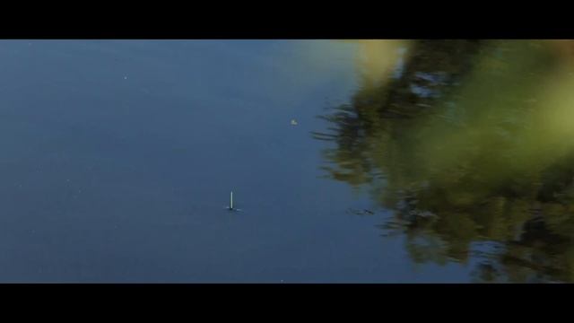 "Охота и рыбалка": " Азбука поплавочной ловли с Александром Дунаевым" смотреть онлайн