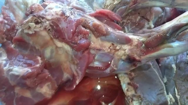 Как коптить дикую козу? Косуля горячим способом копчения. Мясо горячим способом. смотреть онлайн