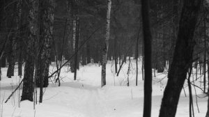 Клен ты мой опавший. ЧайФ.