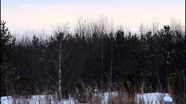 За водой на вездеходе+тетерева в поселке смотреть онлайн