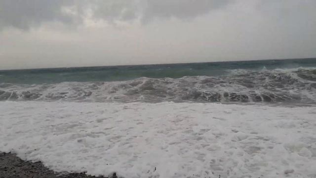 Цитрусовый совхоз после грозы, урагана и шторма. Абхазия смотреть онлайн