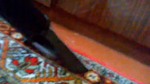 ЗКО химчистка ковра на дому г. Донецк. смотреть онлайн