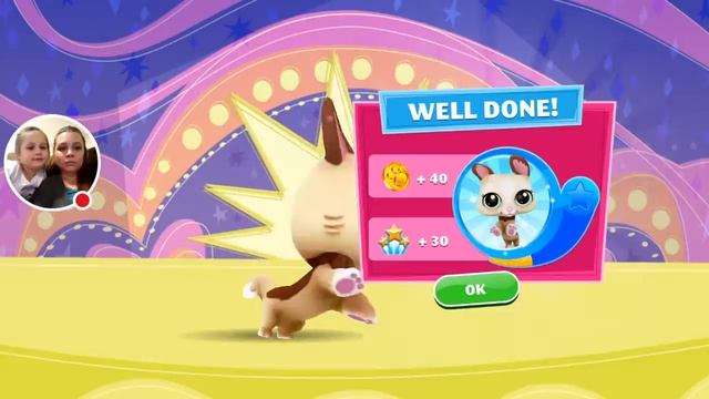 My Littlest Pet Shop Gameplay смотреть онлайн