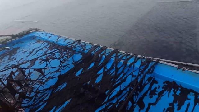 Работа в Корее.Как растет морская капуста (Ким) #15 смотреть онлайн