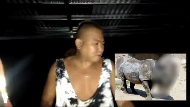 "GUESS THE HYBRID ANIMALS" смотреть онлайн