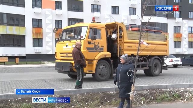 В Ульяновске приступили к высадке деревьев и кустарников смотреть онлайн