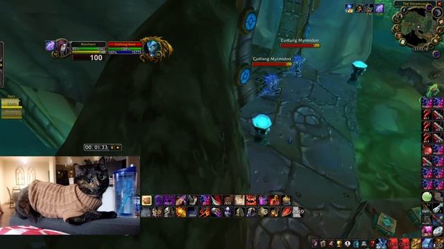 Steamvault Goldfarm (BC Classic Rogue) - Commented By Boochaun | Silent Shadows