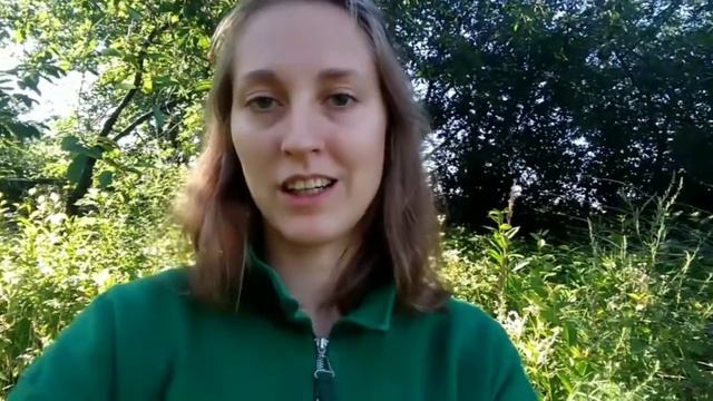 Как правильно читать книги для результата. Логвин. смотреть онлайн