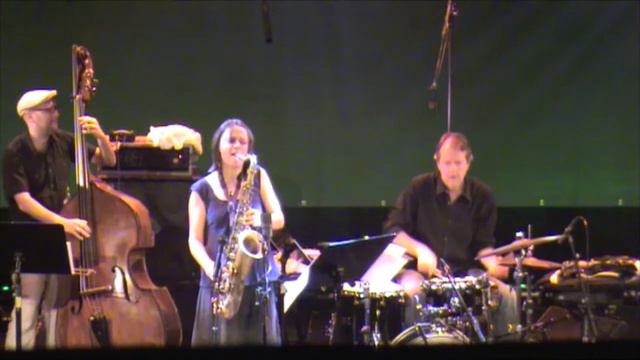 Ingrid Laubrock @ Saalfelden Jazz Festival 2010 смотреть онлайн