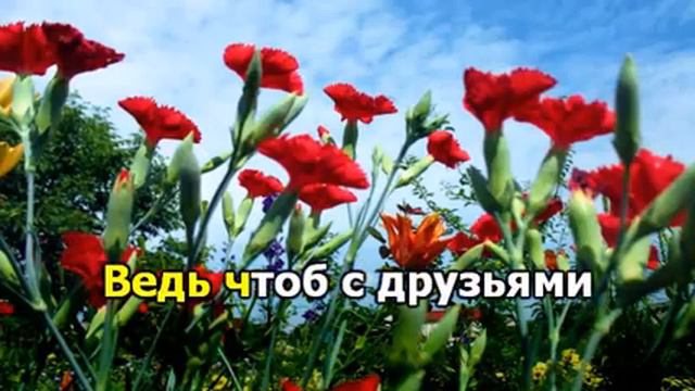 Алые гвоздики смотреть онлайн