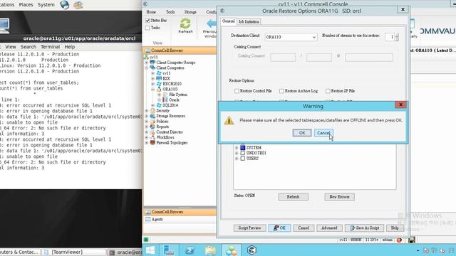 CV Oracle Restore смотреть онлайн