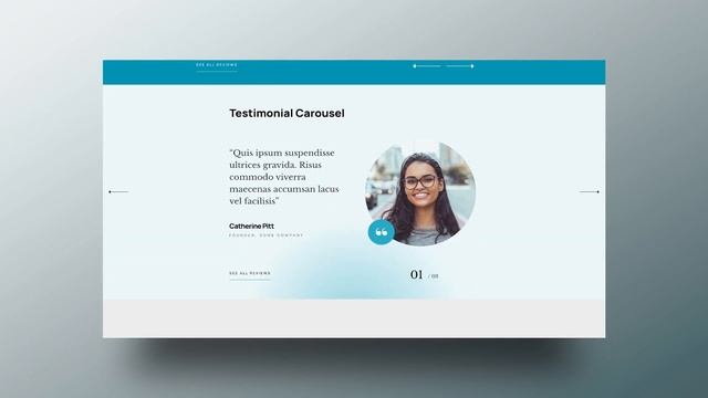 Testimonial Carousel Collection for Wordpress смотреть онлайн