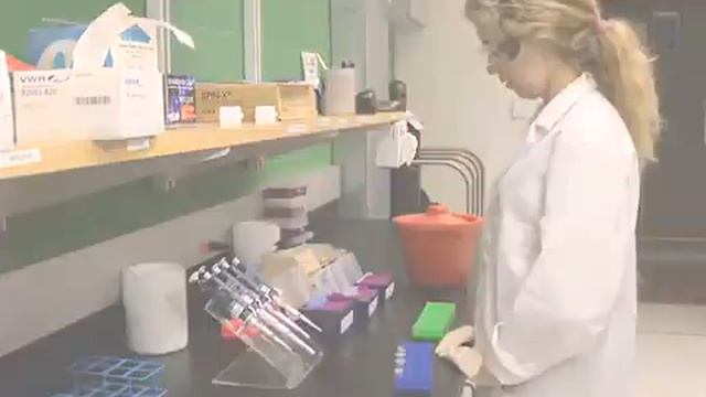 Flexural Rigidity Measurements Of Biopolymers Using Gliding Assays l Protocol Preview смотреть онлайн