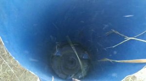 Видео для Авито. Продается сенорезка (траворезка).