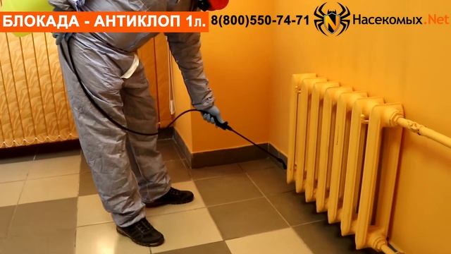 Уничтожение постельных клопов средством Блокада Антиклоп смотреть онлайн