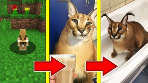 Как менялся ШЛЁПА и его жизненный цикл в майнкрафт ! Эволюция BIG FLOPPA SCP MINECRAFT