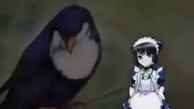 Tokyo Mew Mew 12 токио мяу мяу 12