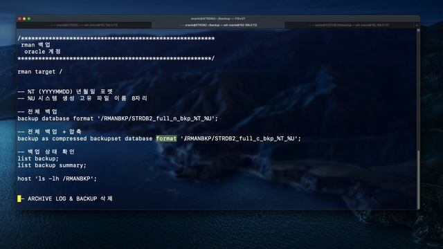 Oracle RMAN 백업은 기술이다. 1부 смотреть онлайн