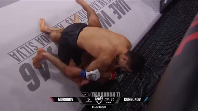 Самандар Муродов vs Бобур Курбанов ПОЛНЫЙ БОЙ смотреть онлайн