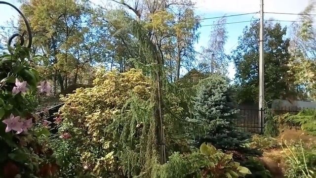 ЗЛАКИ 18г смотреть онлайн