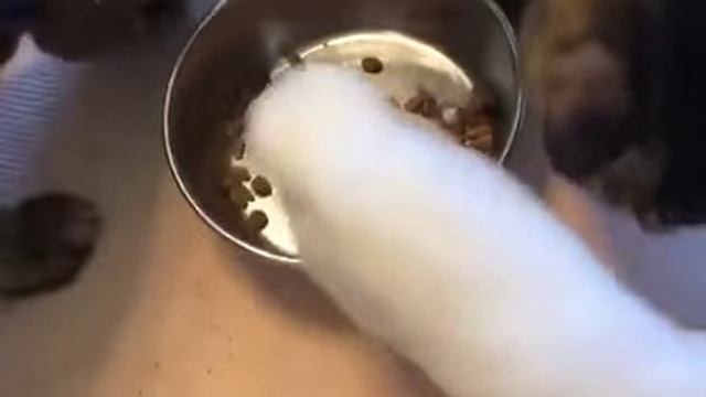 В большой семье клювом не щелкают смотреть онлайн