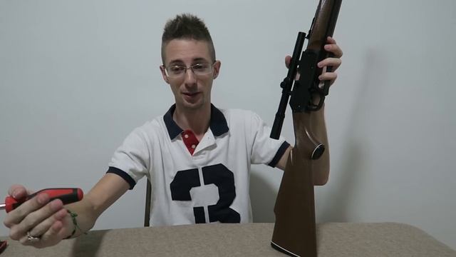 Daisy 880 | Review And Pellet Test | Airgun Evolution