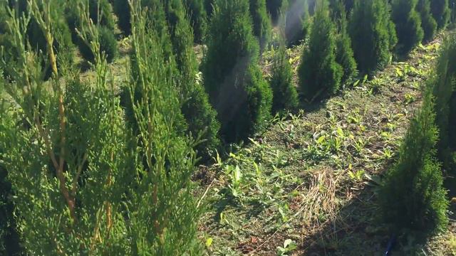 ТУИ ВЕСНА 2019_2 смотреть онлайн