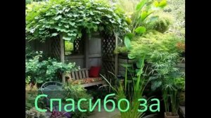 Как сделать красивый огород на даче