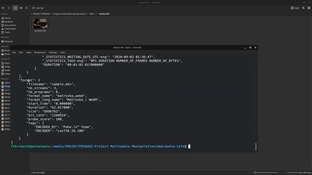 #7$1 - [PHP] - Menampilkan Info Media dari Output FFPROBE menggunakan shell_exec() смотреть онлайн