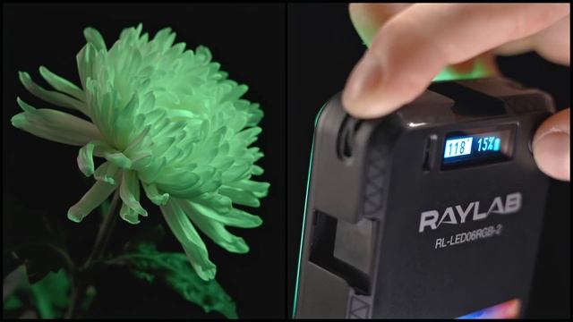Осветитель светодиодный Raylab RL-LED06RGB-2 2500-9000K 2000mAh смотреть онлайн